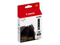 Canon PGI-29 PBK Image