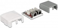 Delock Netzwerk Anschlussdose 2 Port Cat.6A LSA - 86197