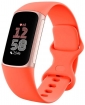 Fitbit Charge 6 Aktivitäts-Tracker coral/champagne-gold