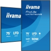 Iiyama ProLite LH7575UHS-B2AG 