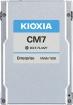 KIOXIA CM7-R Enterprise - 1DWPD Read Intensive SSD 1.92TB SIE 2.5 U.3 PCIe 5.0 x4 - KCMYXRUG1T92 