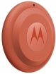 Motorola Moto Tag 2 PANTONE arabesque