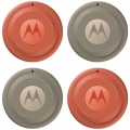 Motorola Moto Tag 2 4er-Pack PANTONE arabesque/laurel oak