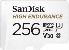 sandisk high endurance r100 w40 256gb