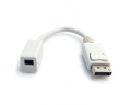 StarTech.com DISPLAYPORT ZU MINI DISPLAYPOR 
