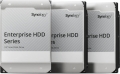 Synology 20TB HDD HAS5310 für Synology-Systeme - HAS5310-20T 