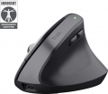 Trust Bayo+ Multidevice Ergonomic Wireless Mouse ECO zertifiziert USB/Bluetooth schwarz  25146