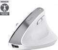 Trust Bayo+ Multidevice Ergonomic Wireless Mouse ECO zertifiziert, USB/Bluetooth weiß 25399
